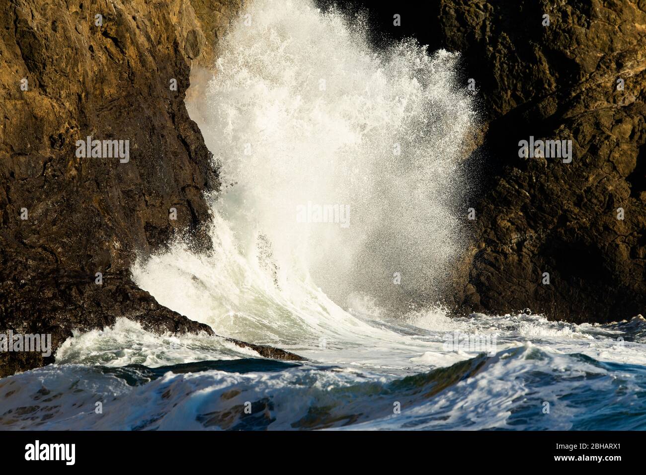 Vagues qui s'écrasent sur la rive rocheuse, Cape Dedéception State Park, Washington, États-Unis Banque D'Images