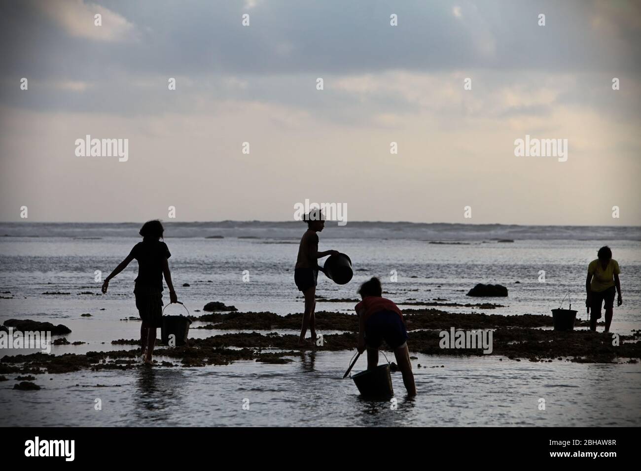 Les jeunes femmes ont silhoueté à mesure qu'elles collectent des produits de la mer à marée basse—une source alimentaire alternative saisonnière à l'île de Sumba, à Nusa Tenggara est, en Indonésie. Banque D'Images