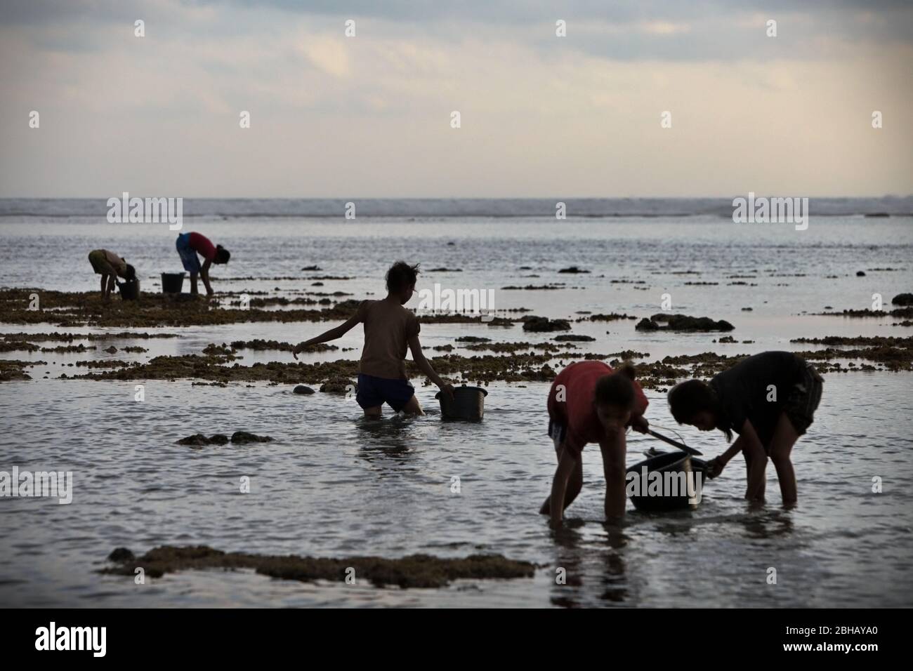 Les jeunes femmes récoltent des produits de la mer à marée basse—une source alimentaire alternative saisonnière à l'île de Sumba, à Nusa Tenggara, en Indonésie. Banque D'Images