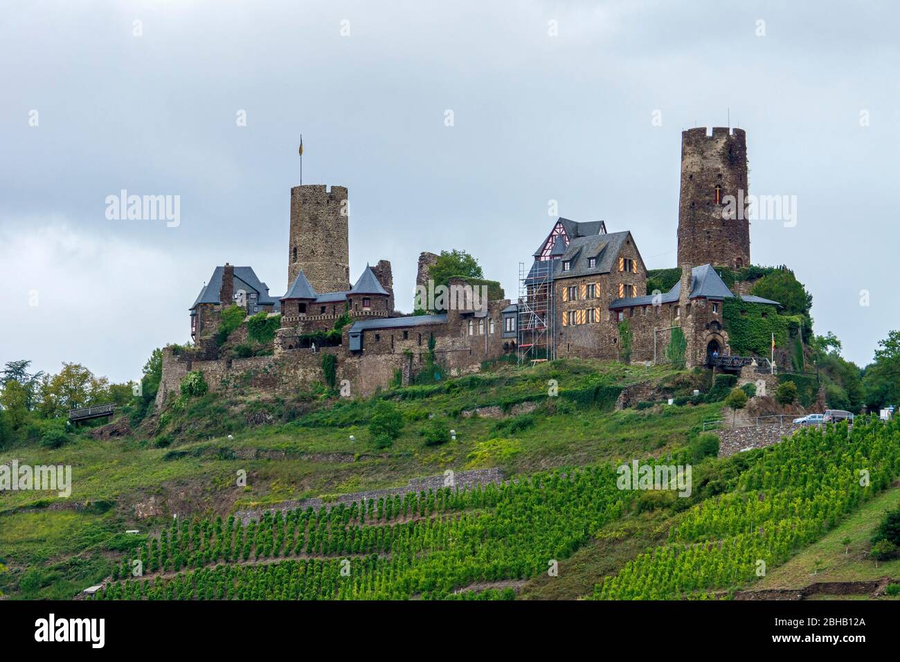 Allemagne, Rhénanie-Palatinat, Alken, Burg Thdurant, vignoble dans la vallée de la Moselle. Banque D'Images