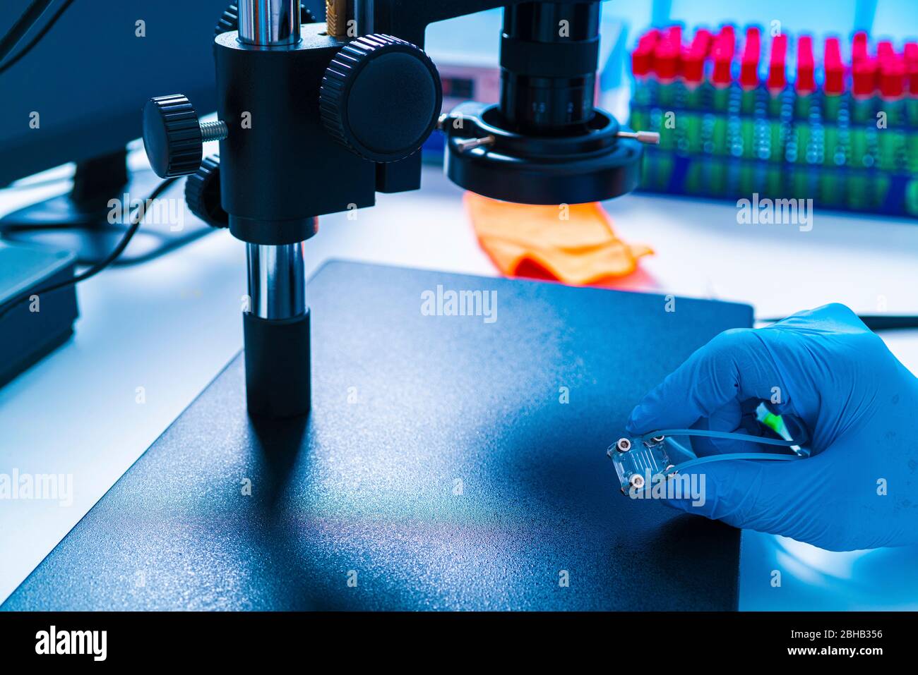 Développement d'organe sur puce. Il s'agit d'un dispositif microfluidique qui simule les organes biologiques. Banque D'Images