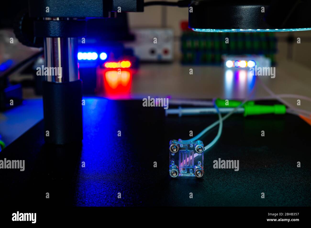 Orgue sur puce. Il s'agit d'un dispositif microfluidique qui simule les organes biologiques. Banque D'Images