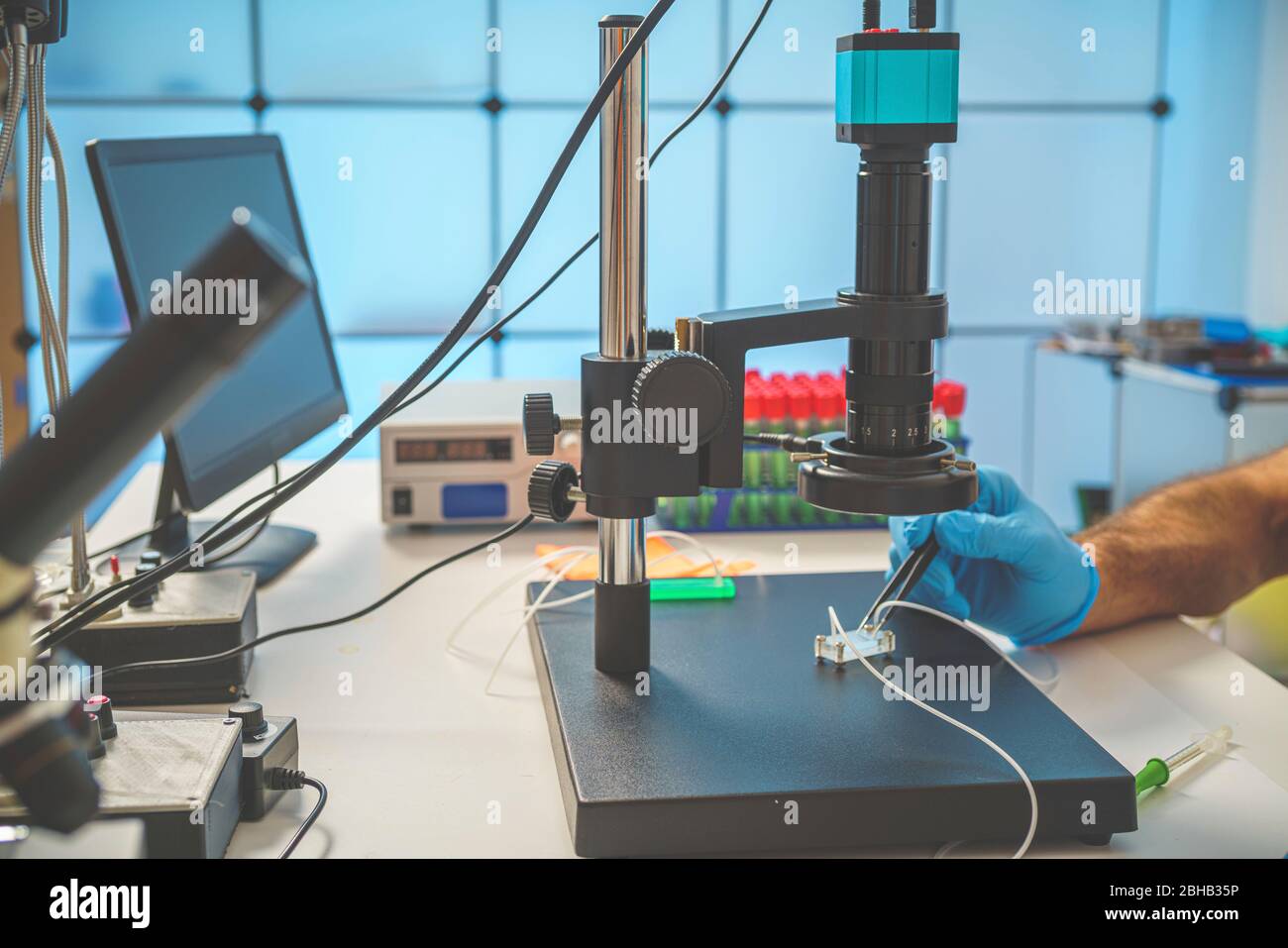 Développement d'organe sur puce. Il s'agit d'un dispositif microfluidique qui simule les organes biologiques. Banque D'Images