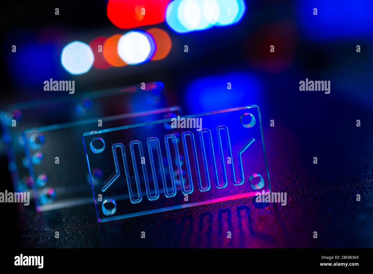 Orgue sur puce. Il s'agit d'un dispositif microfluidique qui simule les organes biologiques. Banque D'Images