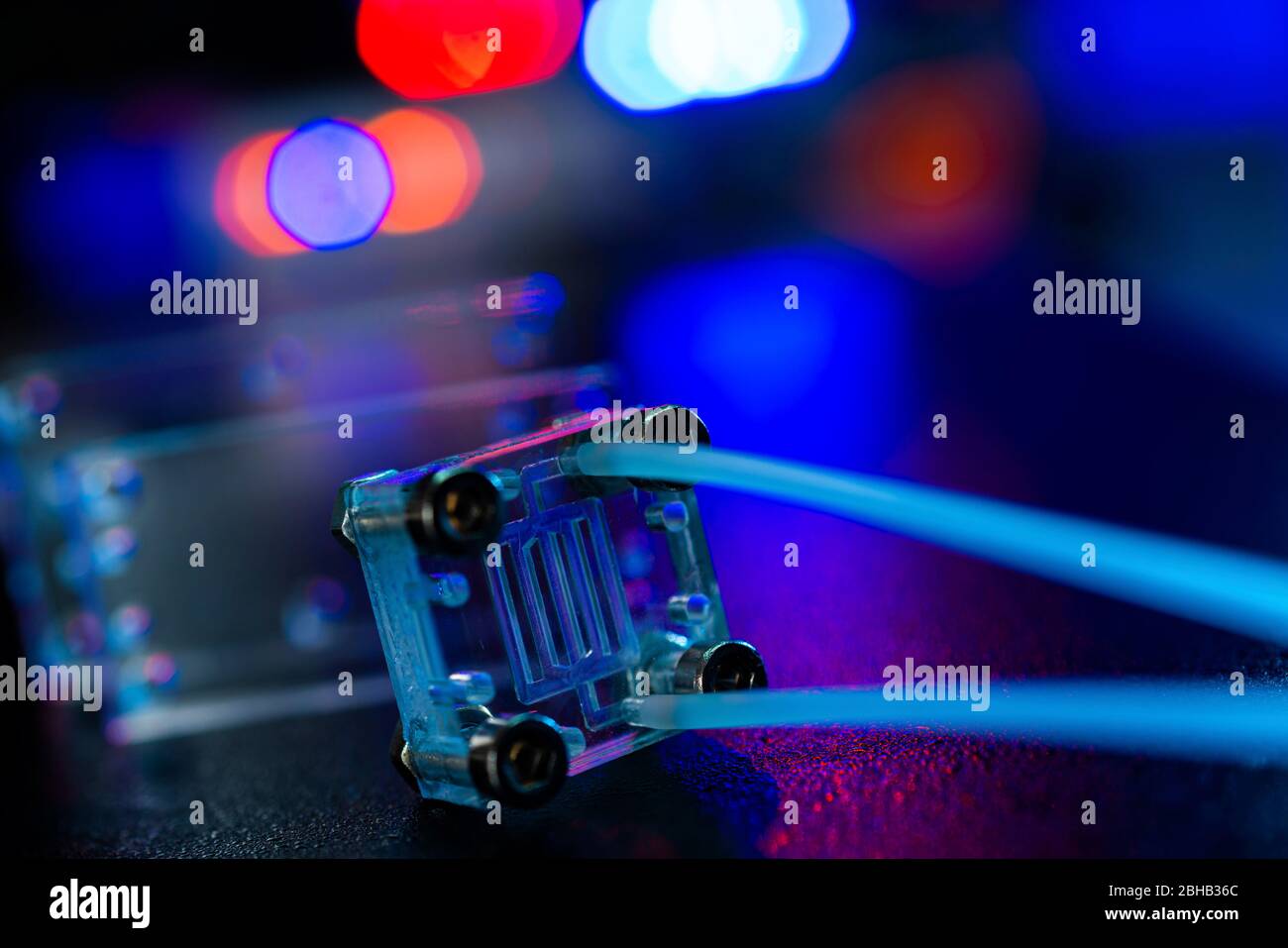 Orgue sur puce. Il s'agit d'un dispositif microfluidique qui simule les organes biologiques. Banque D'Images