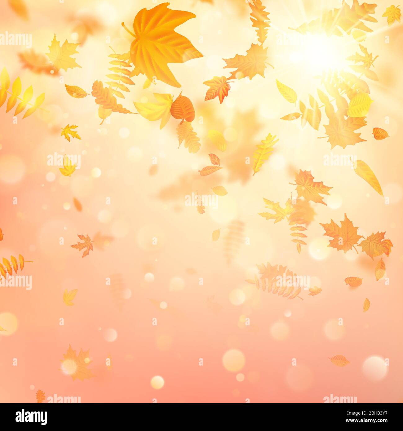 Composition en automne avec feuilles d'érable. Vecteur EPS 10 Illustration de Vecteur