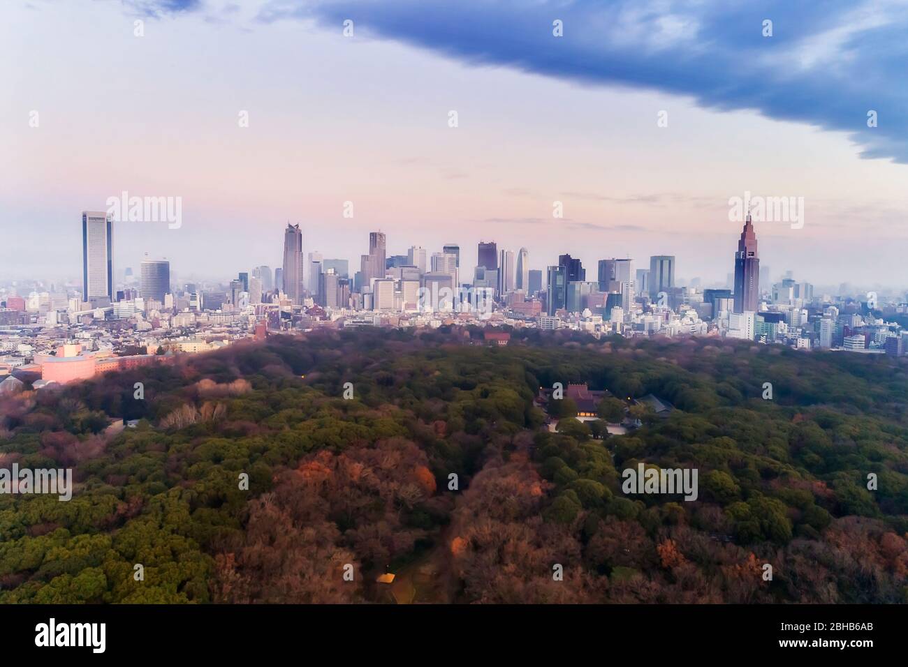 Parc public au milieu de la ville de Tokyo près du quartier des affaires de Shinjuku et de la gare en vue aérienne au lever du soleil. Banque D'Images