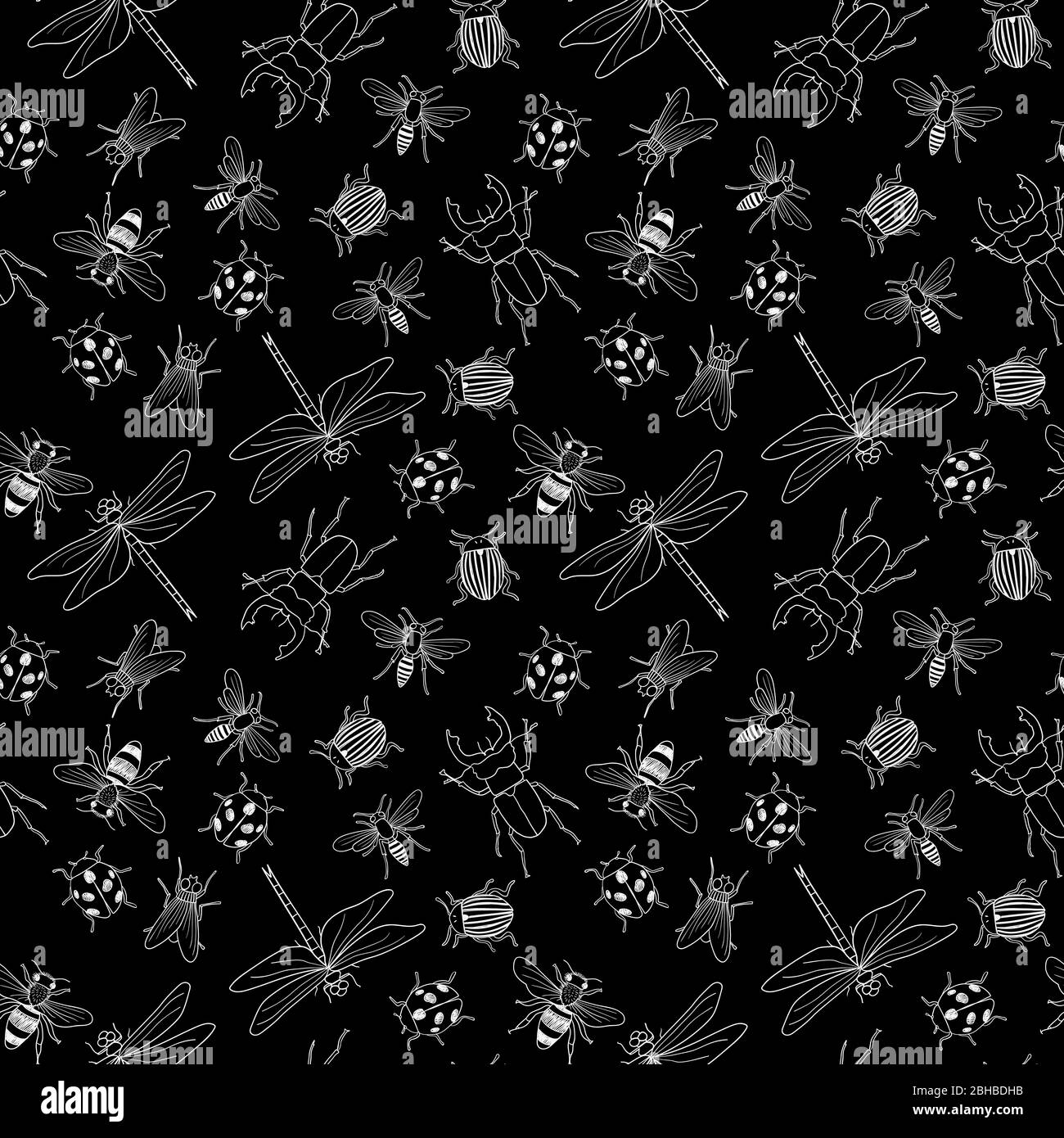 Vecteur noir et blanc sans couture de différents insectes isolés de gribouille dessinés à la main Illustration de Vecteur