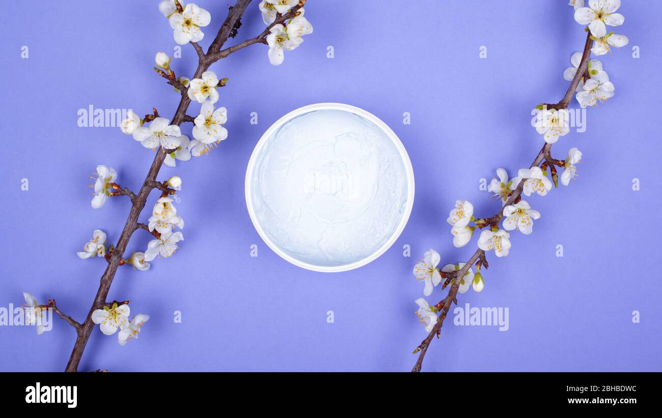 gommage du corps sur fond violet avec branches de fleurs blanches vue dessus. beauté, soins de la peau, spa. Banque D'Images