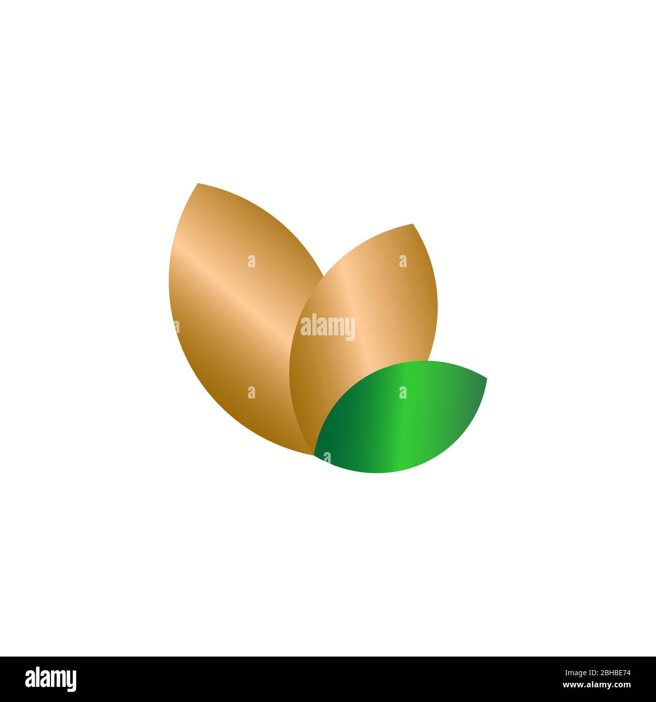 Concept de dessin de feuilles d'or, modèle de logo écologique, sur fond blanc. Illustration de Vecteur
