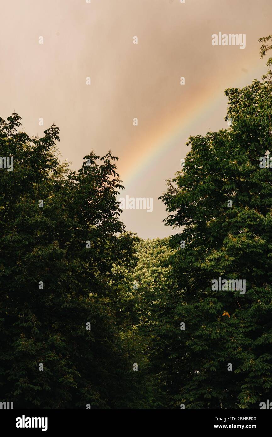 Arc-en-ciel dans un ciel nuageux sur des arbres verts. Lumière Depled dans la forêt. Banque D'Images