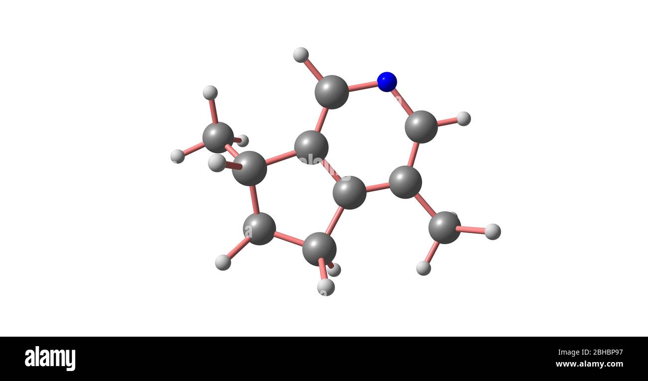 L'actinidine est un dérivé de la pyridine présent dans l'huile essentielle de racine valérienne et de vigne argentée. Actinidine est aussi une phéromone pour une variété d'insec Banque D'Images