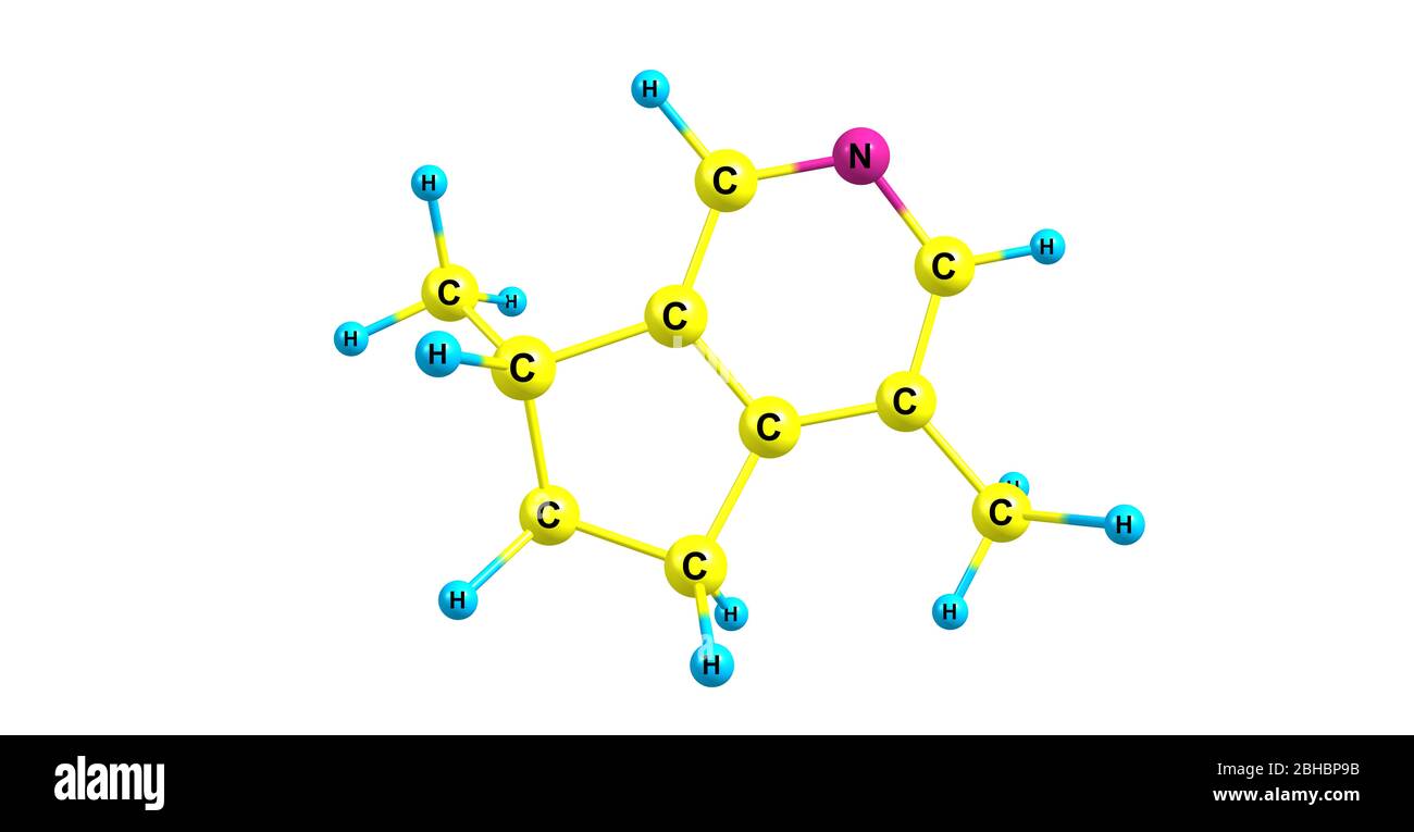 L'actinidine est un dérivé de la pyridine présent dans l'huile essentielle de racine valérienne et de vigne argentée. Actinidine est aussi une phéromone pour une variété d'insec Banque D'Images