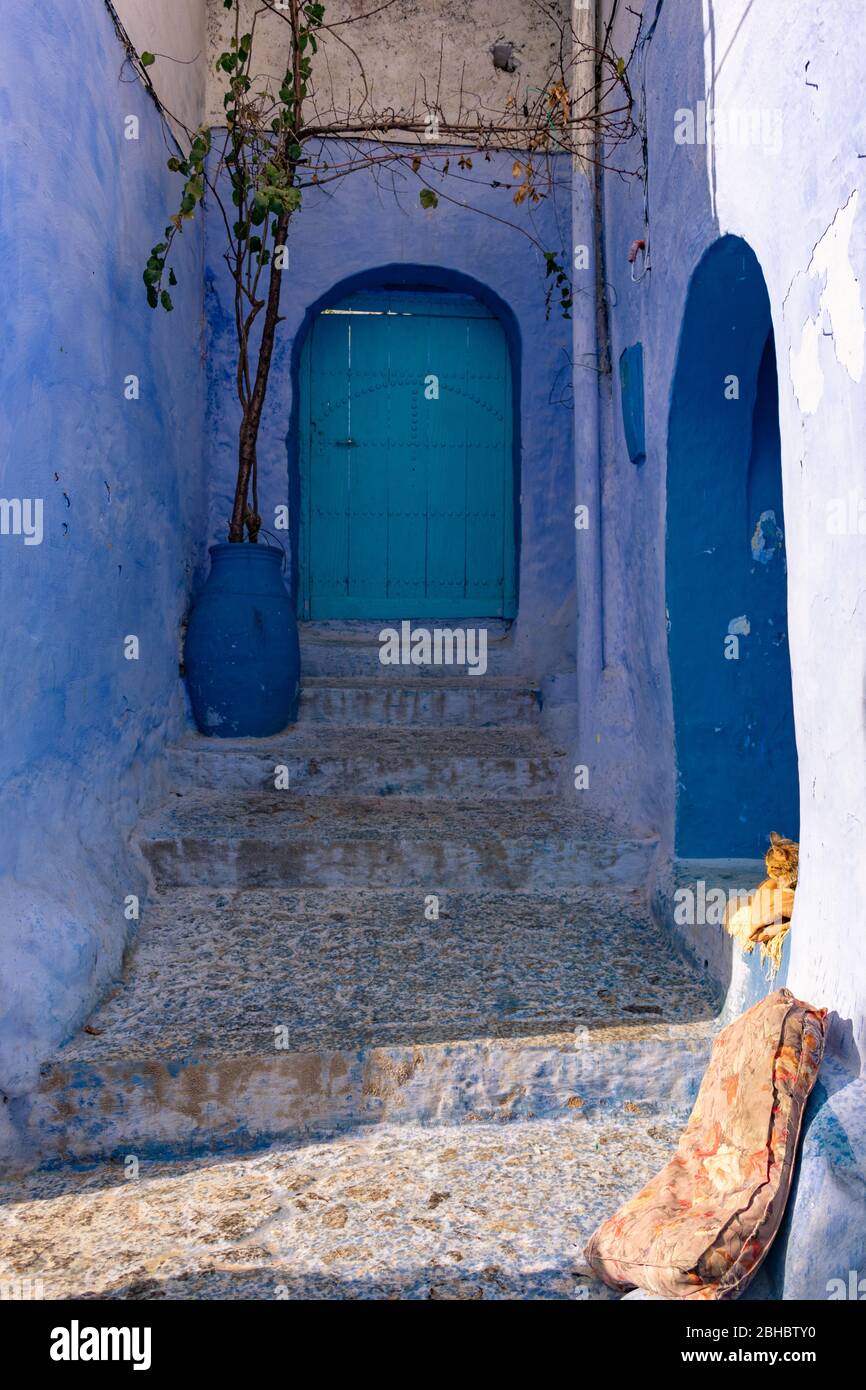 Escalier étroit menant à une entrée d'une maison à Chefchaouen Maroc avec un chat Banque D'Images