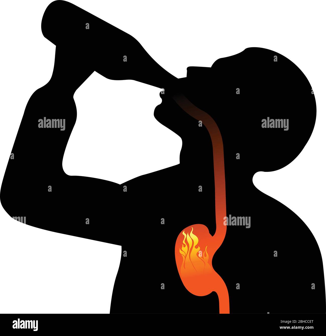 Digestif boisson alcoolisée Banque d'images vectorielles - Alamy