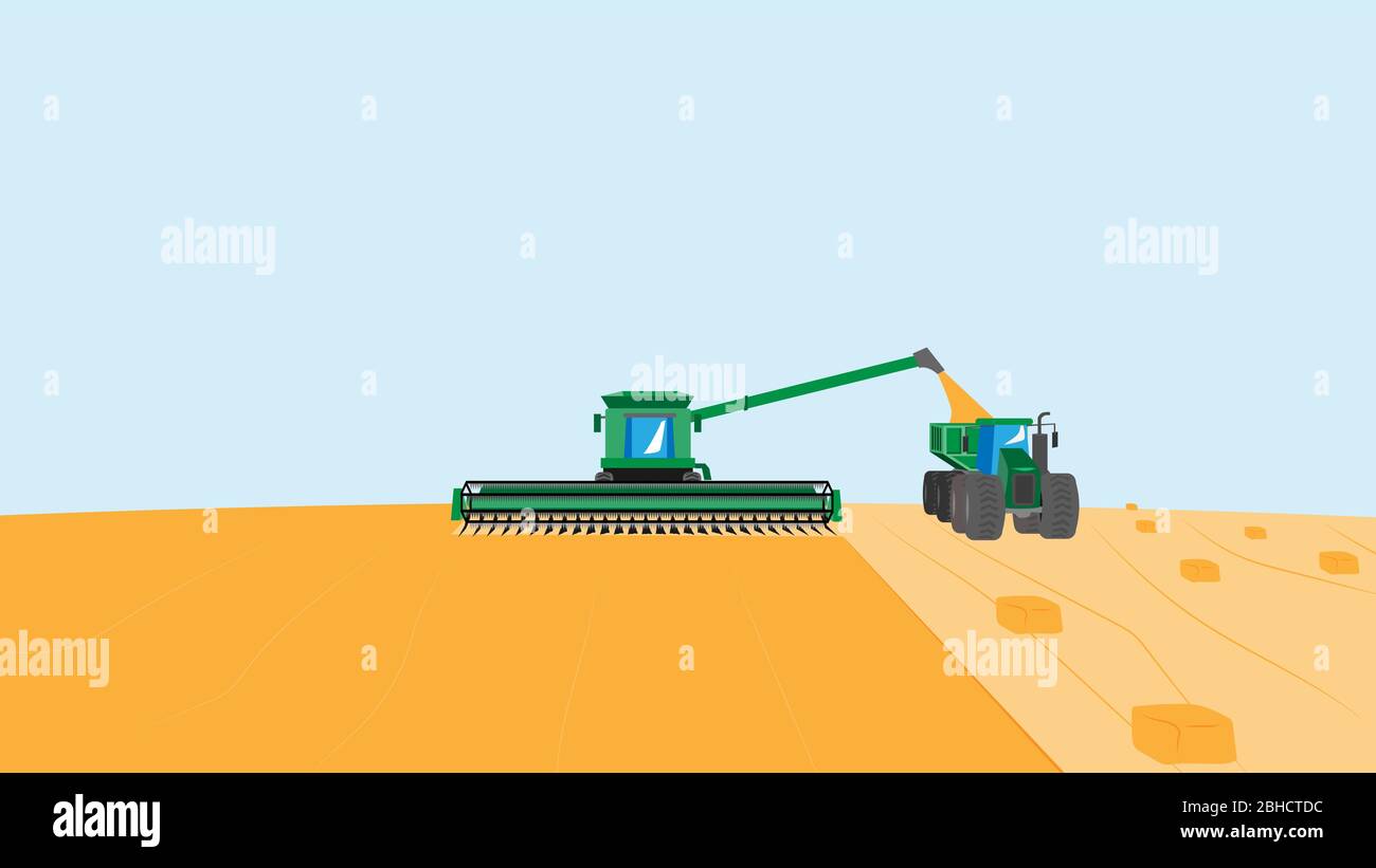 Illustration vectorielle de l'agriculture avec une moissonneuse-batteuse sur le terrain. Temps de récolte. Récolte des plantes céréalières. Illustration de Vecteur