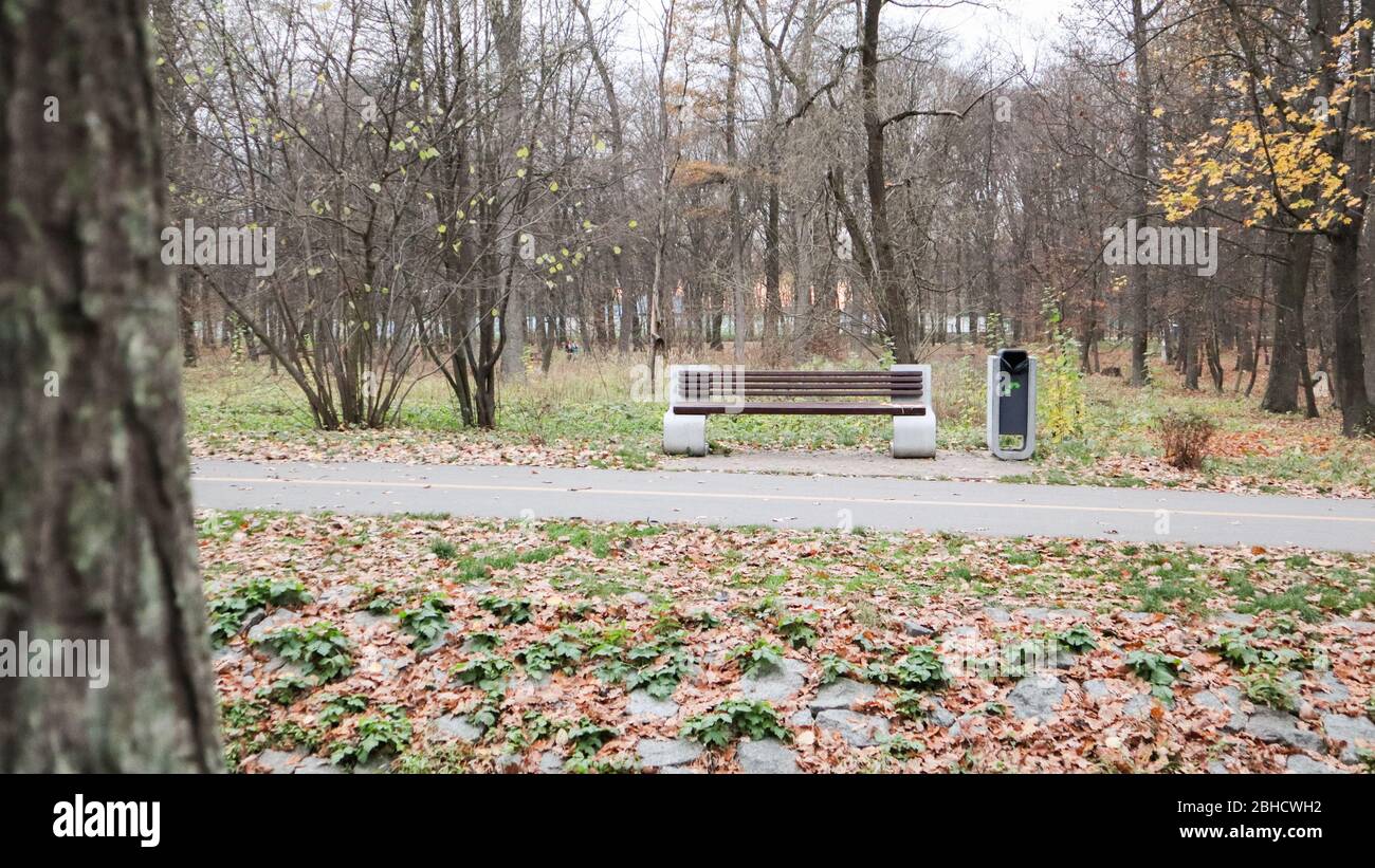 Un banc vide sans personne dans le parc d'automne. Dans l'après-midi, les arbres, le ciel et les feuilles d'automne sont visibles en arrière-plan. Paysage d'automne avec Banque D'Images