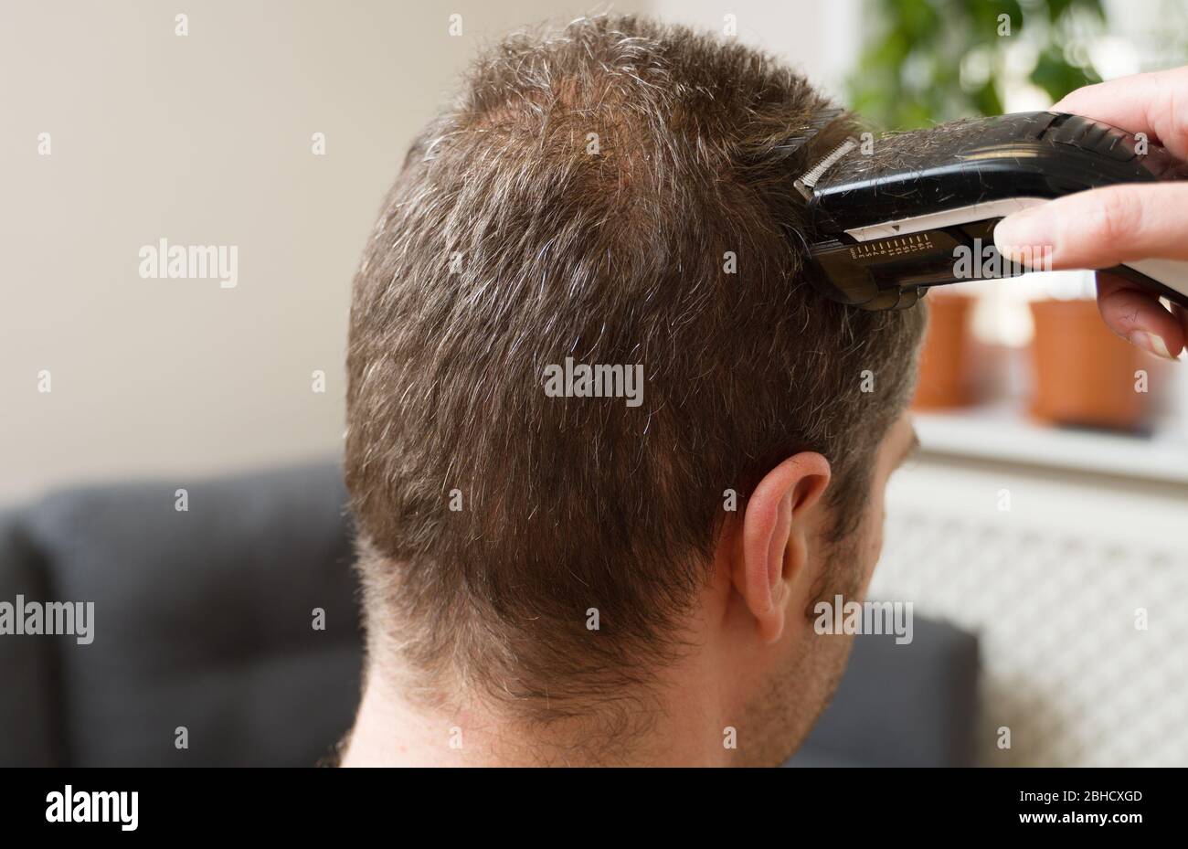 Femme fait coupe de cheveux avec la tondeuse à cheveux à l'homme à la  maison Photo Stock - Alamy