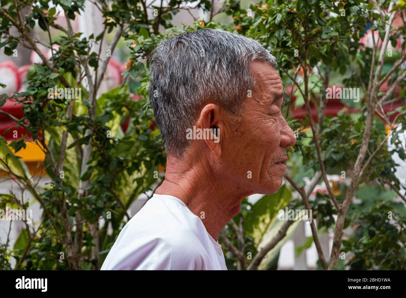 Profil de vieil homme vietnamien ridé, sa bec, Vietnam, Asie Banque D'Images