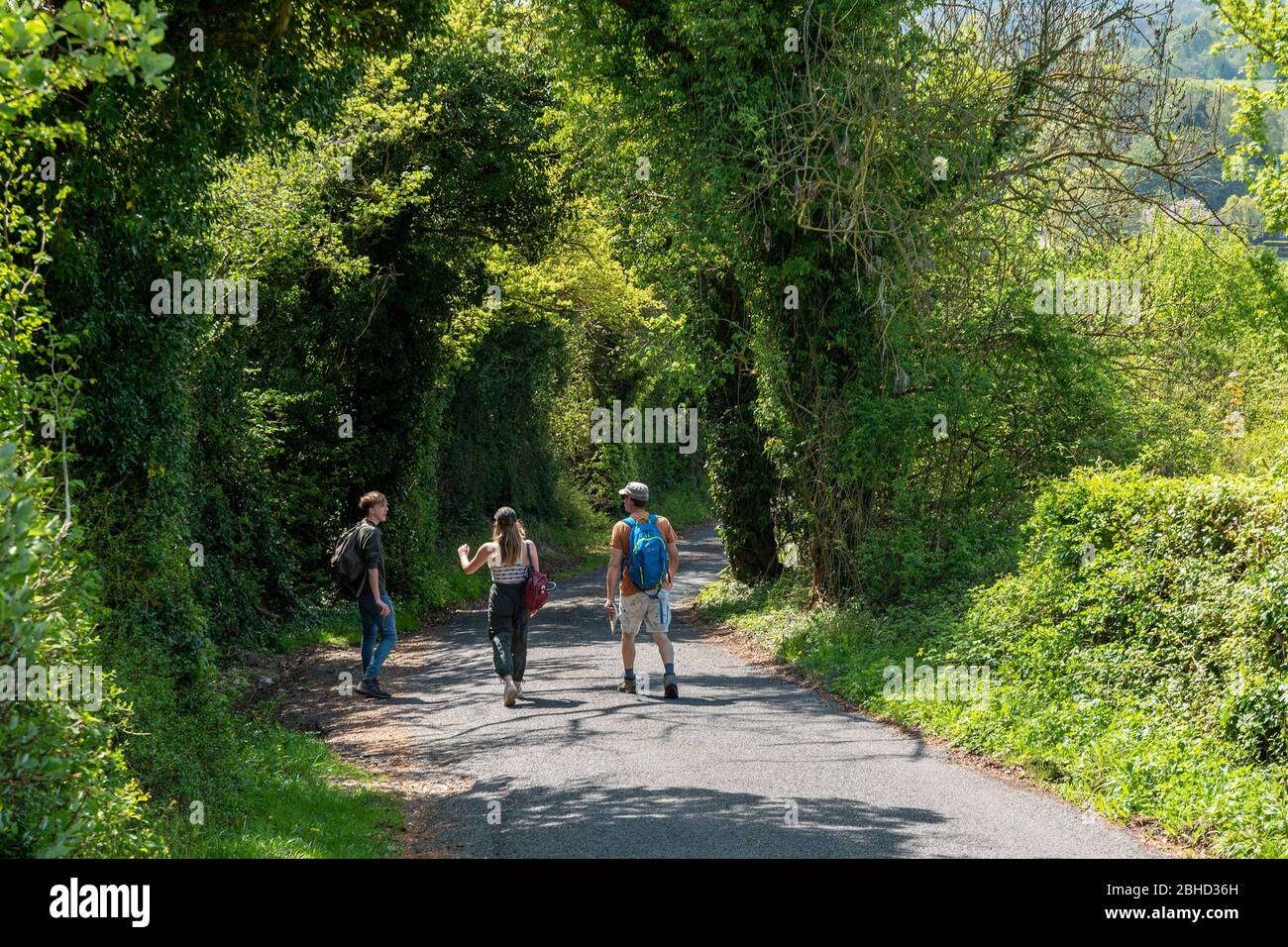 Marche dans le Kent, Royaume-Uni, le jour du printemps Banque D'Images Marche dans le Kent, Royaume-Uni, le jour du printemps Banque D'Images