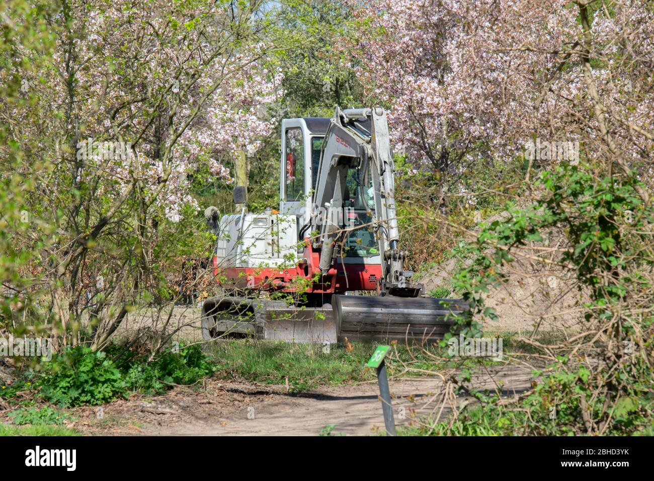 Digger au cimetière Nieuwe Ooster à Amsterdam Pays-Bas 2020 Banque D'Images