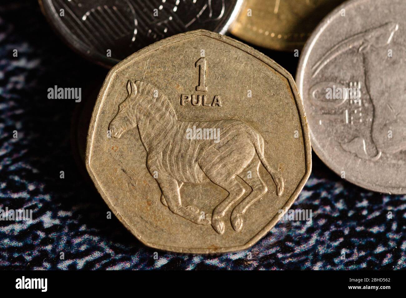 Botswana Pula monnaie Banque D'Images