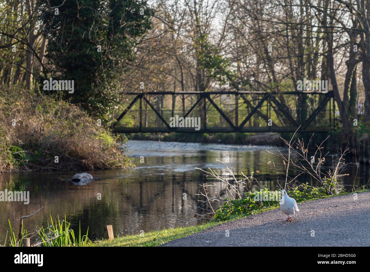 River Stour Canterbury Kent Royaume-Uni Banque D'Images River Stour Canterbury Kent Royaume-Uni Banque D'Images