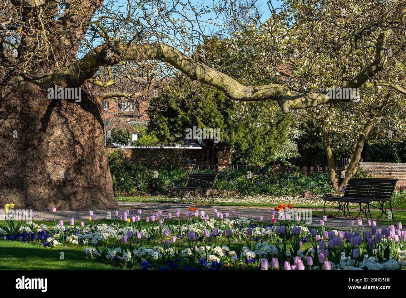 Westgate Gardens Canterbury Kent Royaume-Uni Banque D'Images Westgate Gardens Canterbury Kent Royaume-Uni Banque D'Images