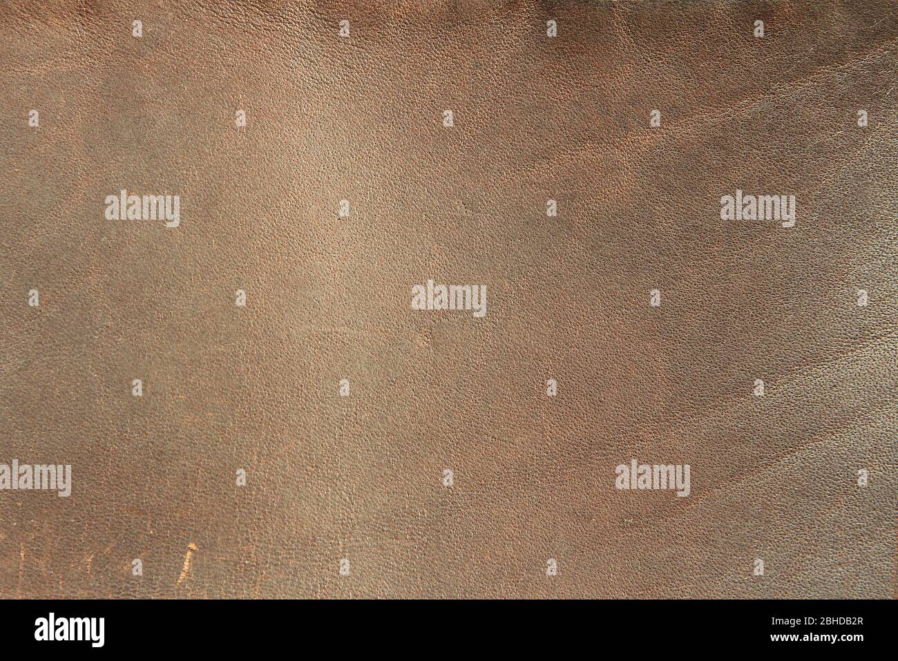 Fermeture de la texture en cuir marron authentique. Arrière-plan pour la conception de texte. Banque D'Images