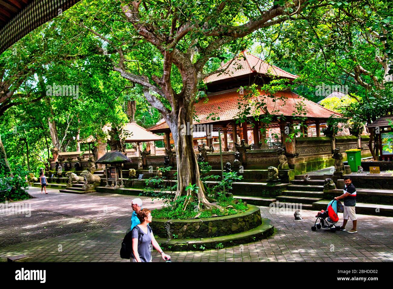 Singes macaques et statues à Ubud Bali, Indonésie. Forêt de singes sacrés et complexe de temples hindous à Ubud. Banque D'Images