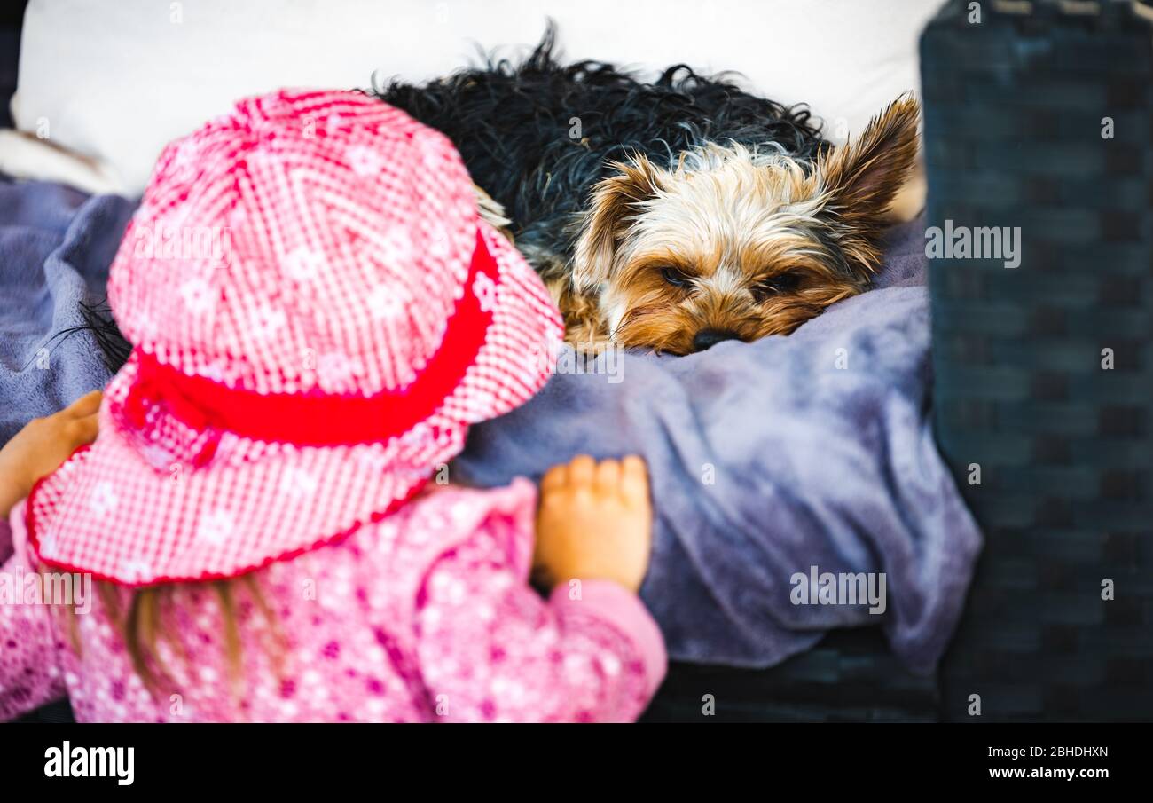 Petite fille de 2 ans avec chapeau rose et chien yorkshire terrier reposant sur un canapé dans l'arrière-cour Banque D'Images