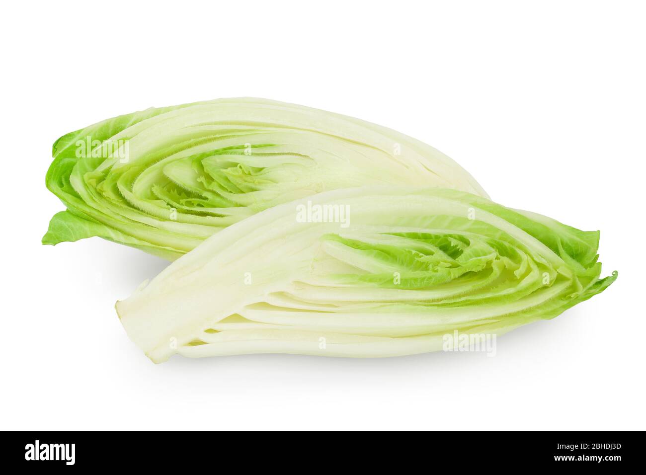 Salade de chicorée isolée sur fond blanc avec chemin de découpe et profondeur de champ complète Banque D'Images