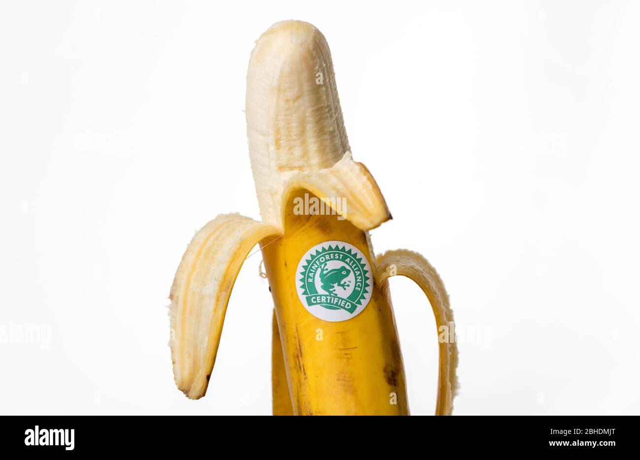 Autocollant du logo Rainforest Alliance sur une banane Banque D'Images