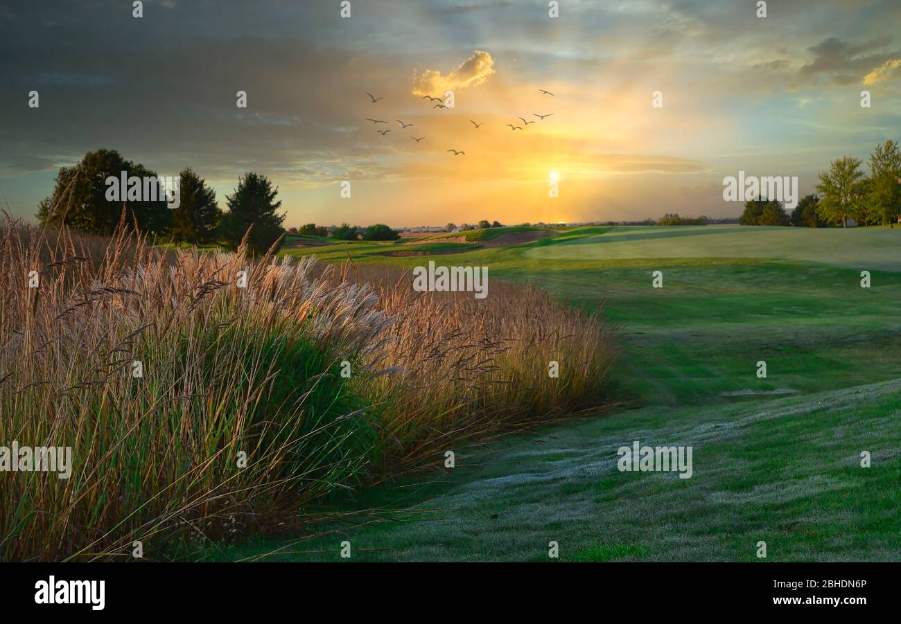 Belle vue sur un parcours de golf au coucher du soleil en automne avec des oiseaux qui volent au-dessus et des rayons du soleil coulant. Banque D'Images