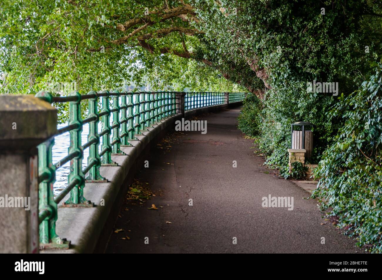 La rive de Putney en direction de Fulham Palace, Londres, Angleterre, Royaume-Uni Banque D'Images