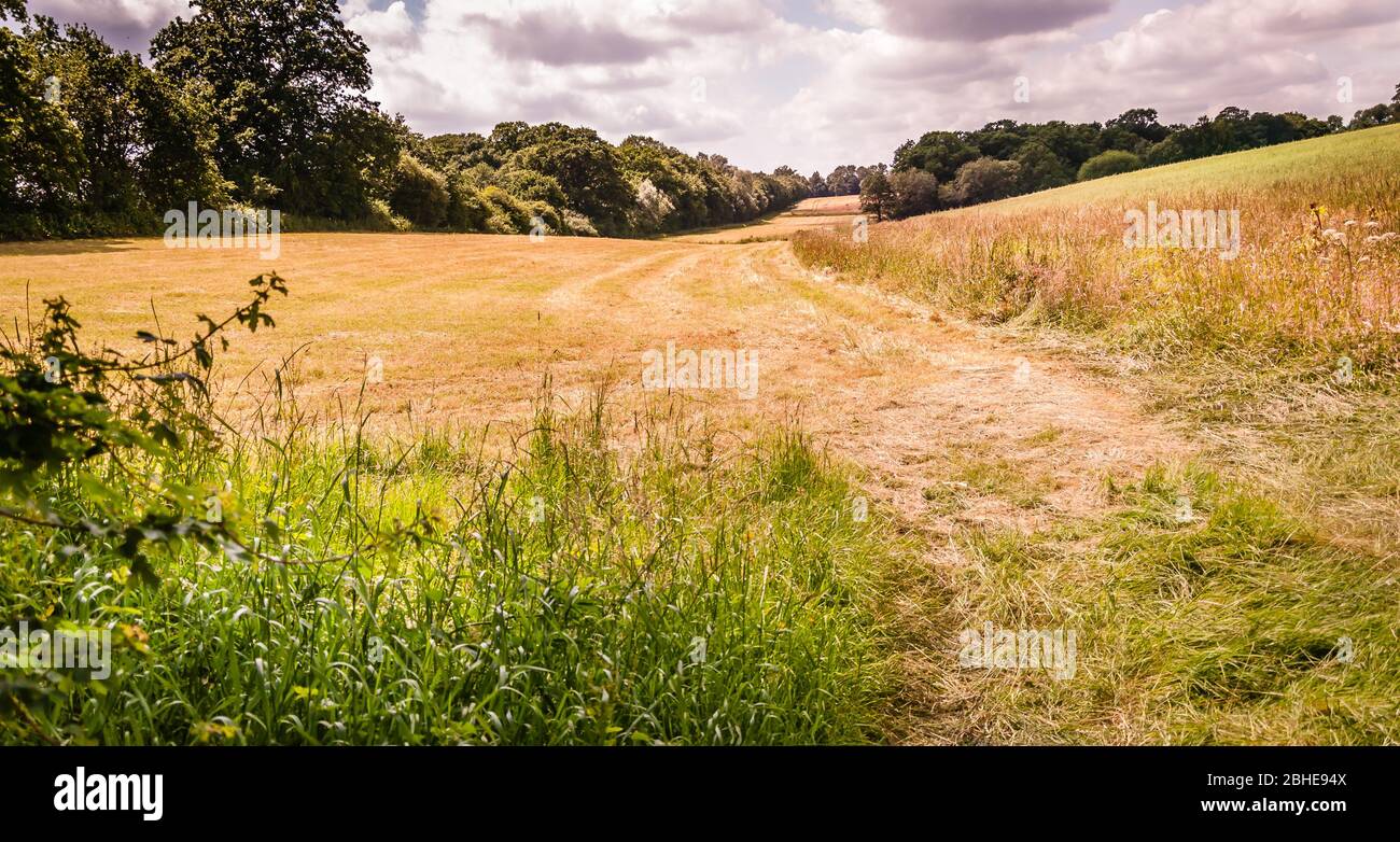 Paysage de Trent Park, Londres, Enfield, Londres, Royaume-Uni Banque D'Images