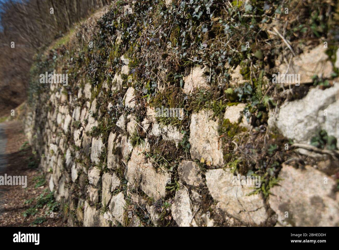 mur sec et plantes, paysage de pays Banque D'Images