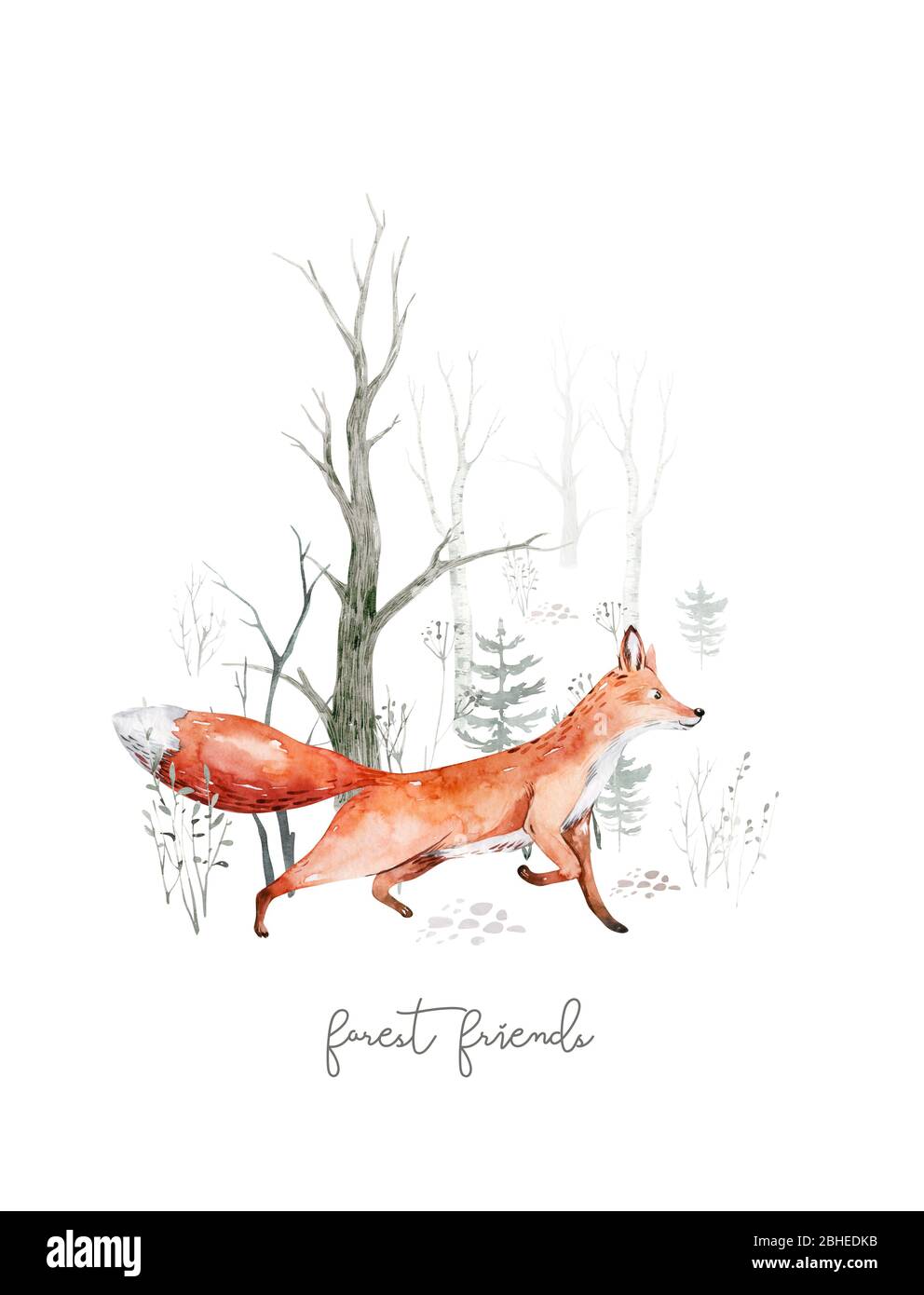 Les Animaux D Aquarelle Des Bois Renard Bebe Motif Renard Nain De Pepiniere De Foret Scandinave Caractere Isole Photo Stock Alamy Les Animaux D Aquarelle Des Bois Renard Bebe Motif Renard Nain De Pepiniere De Foret Scandinave Caractere Isole Photo Stock Alamy
