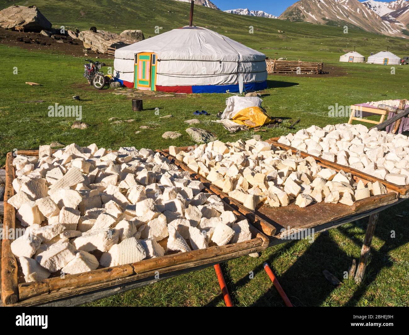 Fromage à tartiner étalé à sec en plein air devant un yourte, production traditionnelle, province de Bayan-Ulgii, Mongolie, Asie Banque D'Images