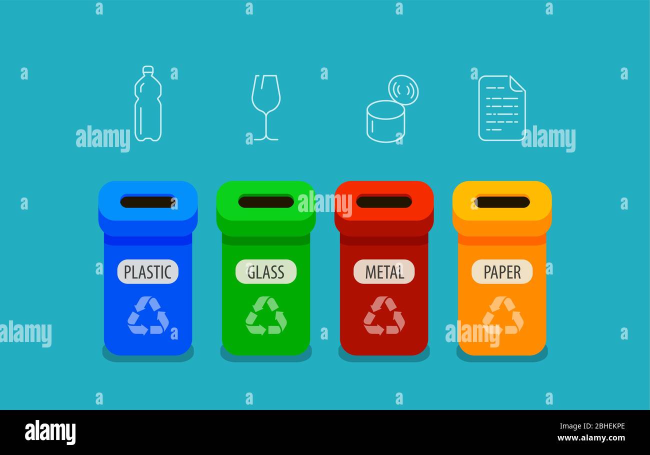 Infographie sur le tri des déchets. Illustration vectorielle des bacs de recyclage Illustration de Vecteur