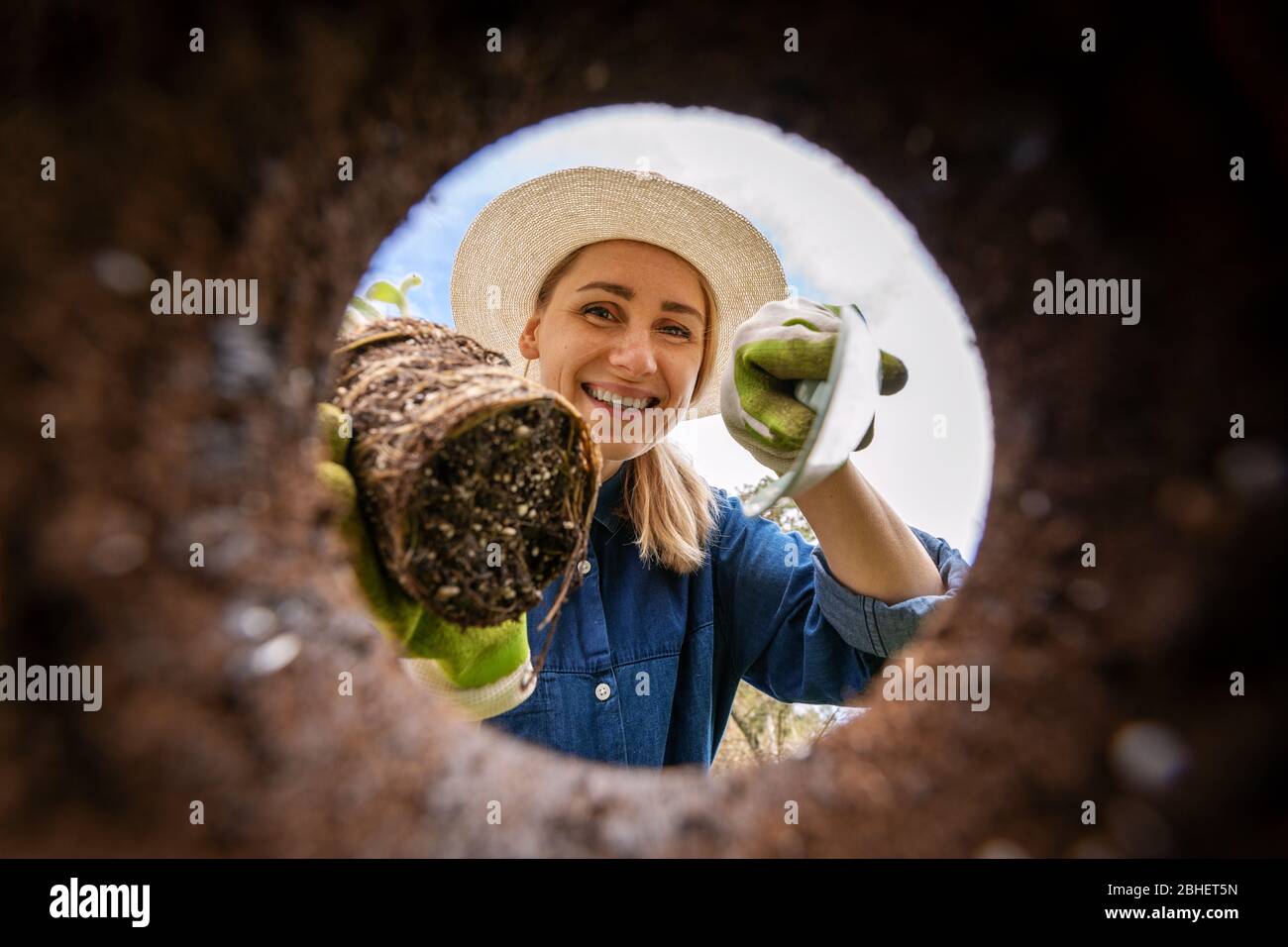 femme souriante plaçant une plante dans le trou de sol fleuri. vue de dessous Banque D'Images