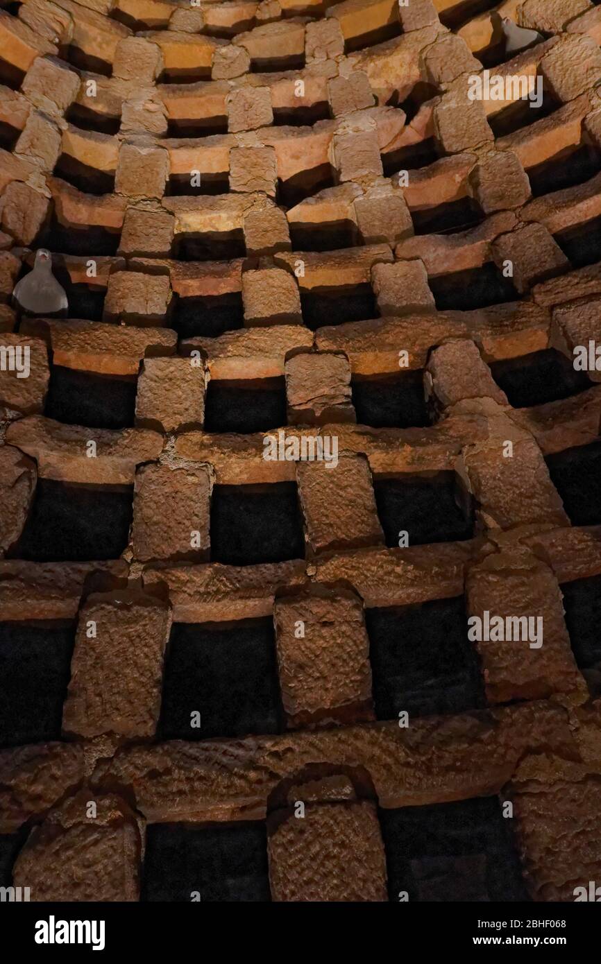 Nicheuses de pigeons au Prieuré Doocot (dovecote) à Crain Fife, Écosse, Royaume-Uni Banque D'Images