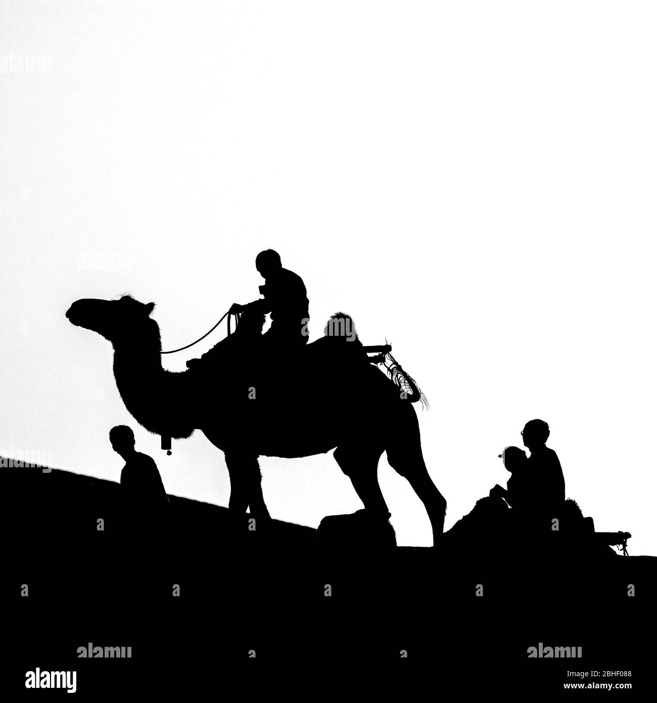 Balade à dos de chameau au coucher du soleil, dans les dunes de sable de Dunhuang, province de Gansu, Chine. Banque D'Images