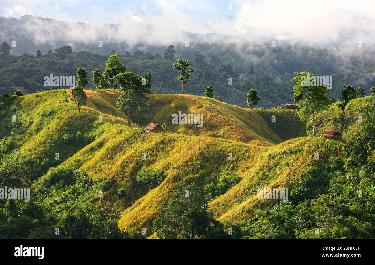 Bandarban Hill Tract, Bandarban, Bangladesh. Paysage de colline naturelle. Banque D'Images