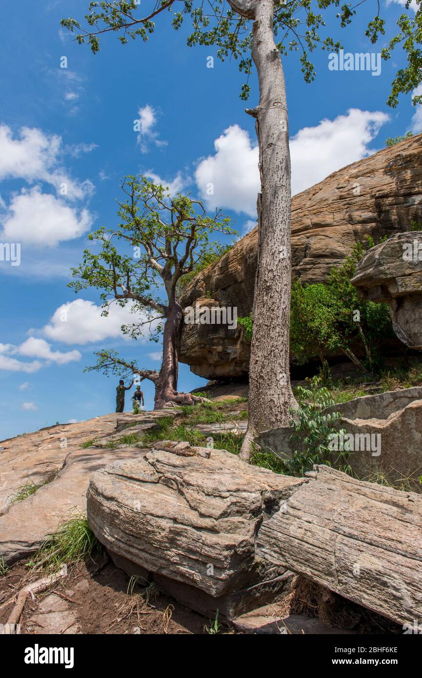 Les touristes dans la réserve de jeu Sai près d'Accra, Ghana. Banque D'Images