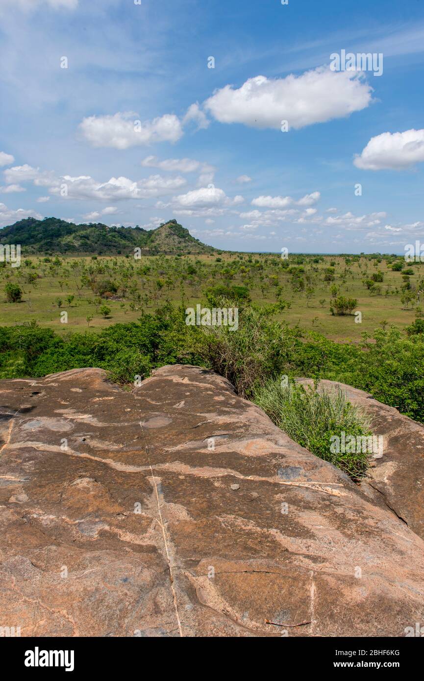 Réserve de jeu de paysage Sai près d'Accra, Ghana. Banque D'Images
