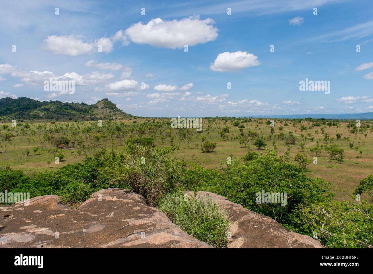 Réserve de jeu de paysage Sai près d'Accra, Ghana. Banque D'Images