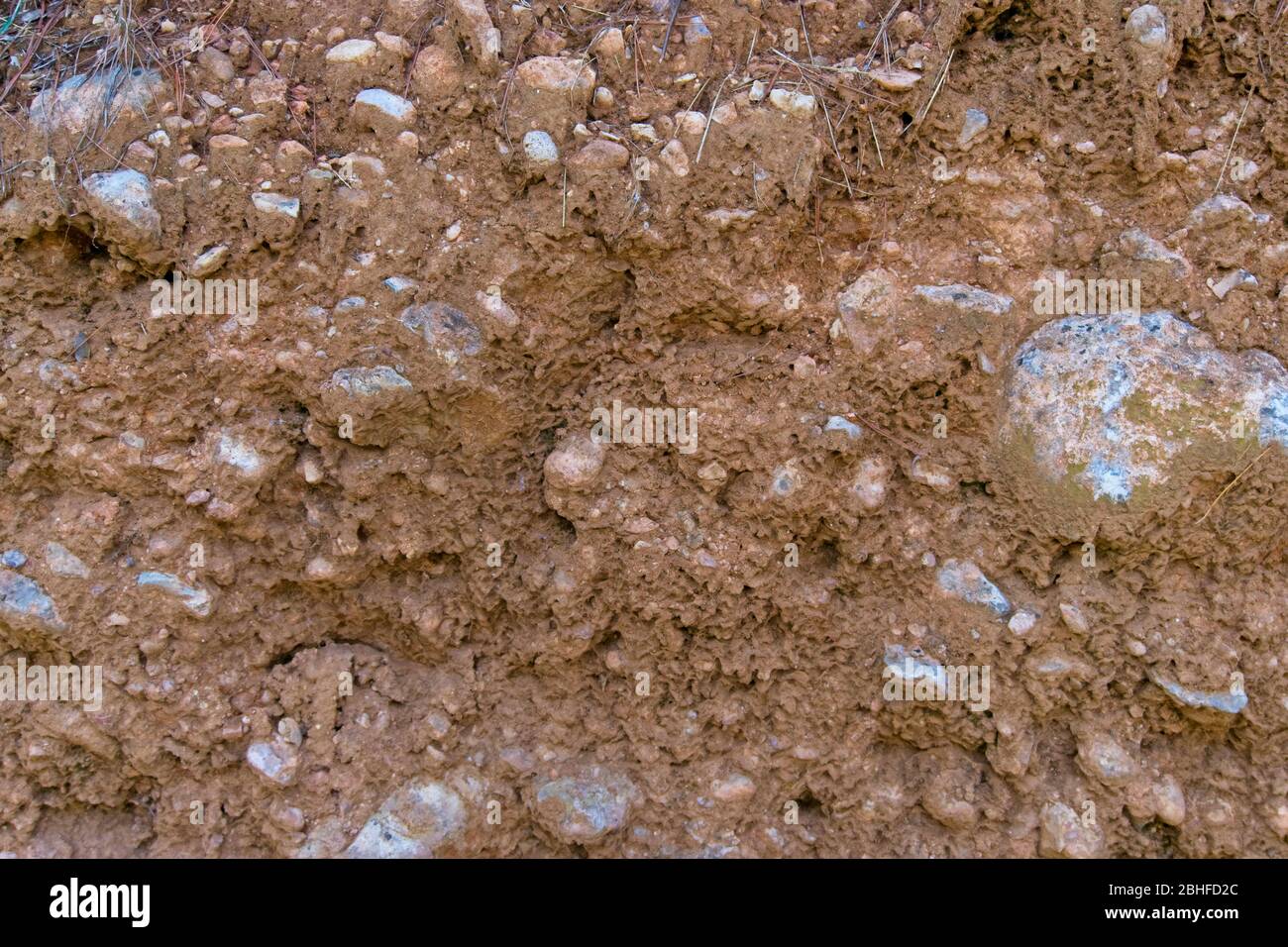 Détail de la texture de surface avec la petite roche de galets . Fond de surface de sable et de roches Banque D'Images