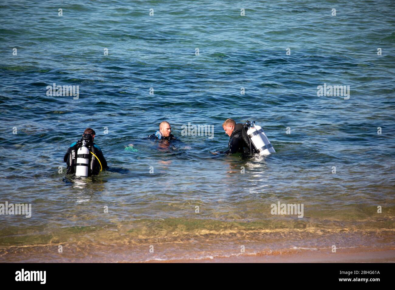 Trois hommes australiens dans l'eau se préparent à faire de la plongée sous-marine Plongée, Sydney Banque D'Images