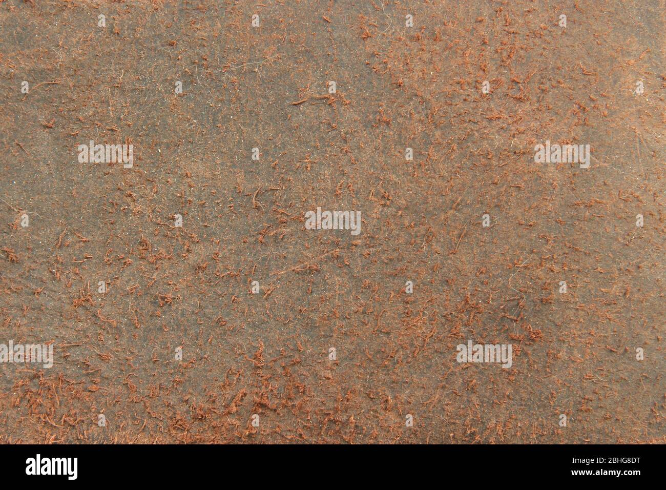 Fermeture de la texture en cuir marron authentique. Arrière-plan pour la conception de texte. Banque D'Images